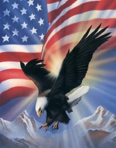 Adressetiketten - Patriotischer Adler 35 - Bild 1 von 1