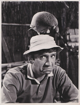 1967 Press Photo Actor Bob Denver stars in 