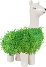 Gift Republic - Lama Pflanztier | Das Keramik, Zum Chia Samen Züchten | Anzuchts