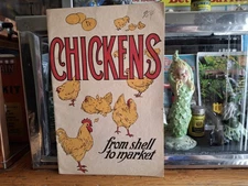 Vintage 1920 Pet Shop Feed Store Chickens From Shell To Market Booklet Ephemera
