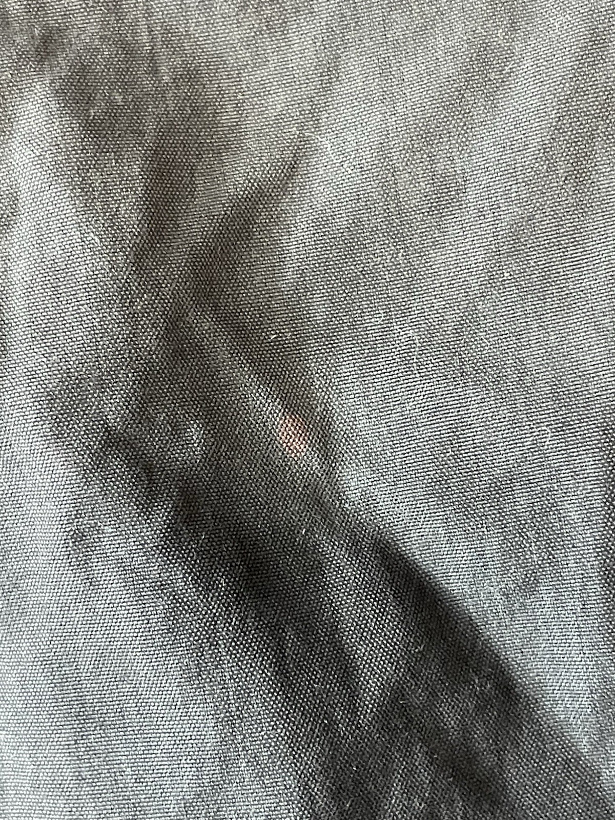 Picture 5 of 7