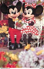 Postcard - Amusement Park - Walt Disney World - Mickey and Minnie Mouse