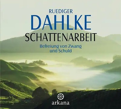 Schattenarbeit ZUSTAND SEHR GUT