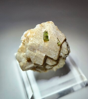 ***WOW-Sweet Gem Quality Beryl crystals on Albite, TN mine Canada***