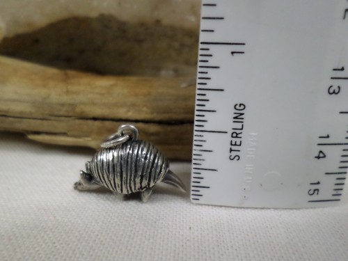 James Avery SELTEN RARITÄT Sterling nicht mehr produziert gebändertes ARMADILLO Charm - ungeschnittene Schleife - Bild 6 von 7