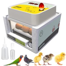 Incubators for Hatching Eggs - 12 - Ideal All Ages  Egg Yellow