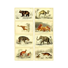 Animal Illustrations, 8 Decals on 1 Sticker Sheet, Vintage Journal Tags