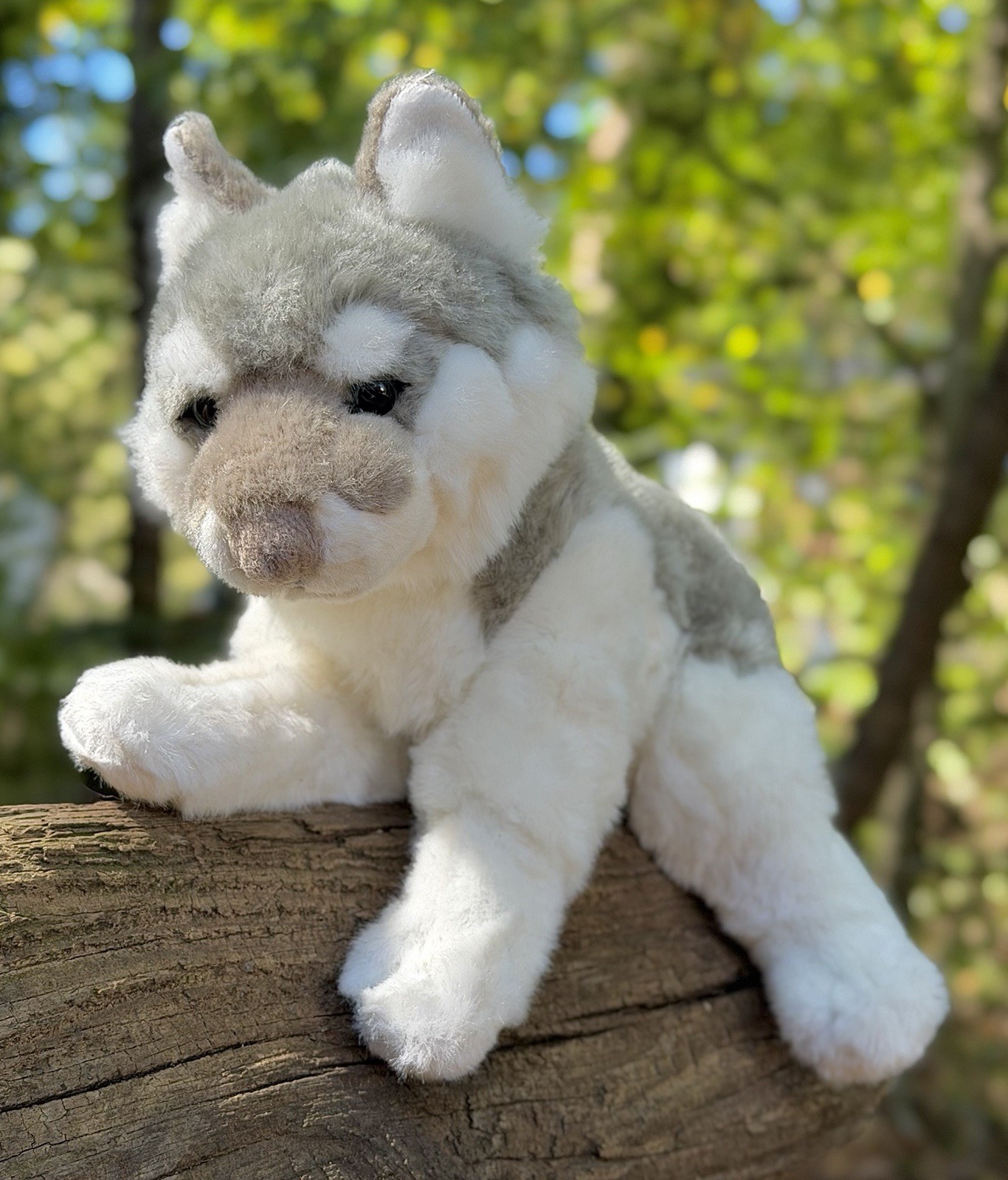 16" Gipsy Silver Wolf Gray White Floppy Stuffed Animal Toy Plush France *RARE*