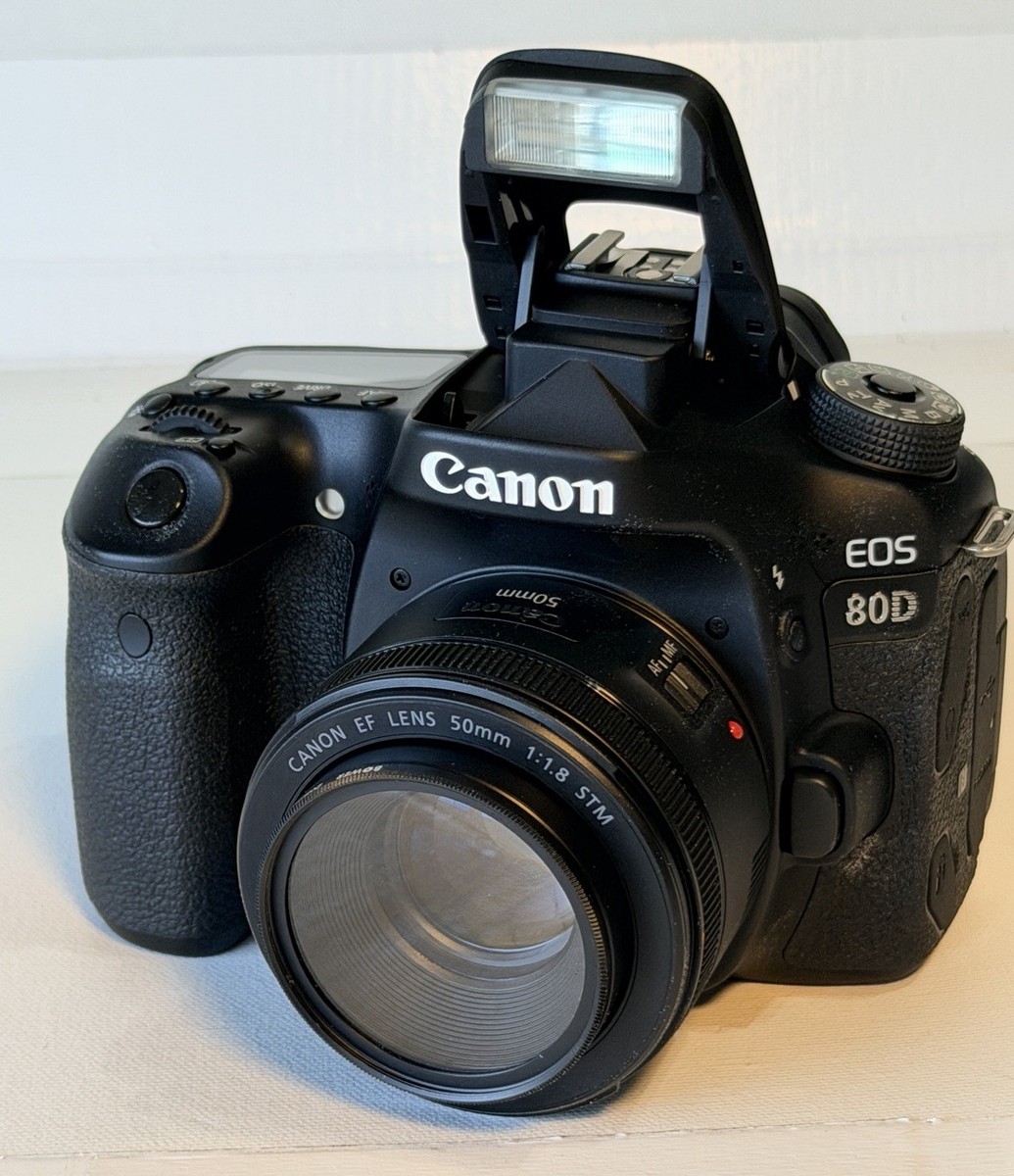 N-Mint!] Canon EOS 80D w/EF 50mm f/1.8 Lens Digital SLR Camera