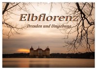 Elbflorenz - Dresden Und Umgebung (Wandkalender 2027 DIN A2 Quer), Calvendo Mona