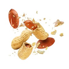 Raw Peanuts for Squirrels Birds 32oz x2