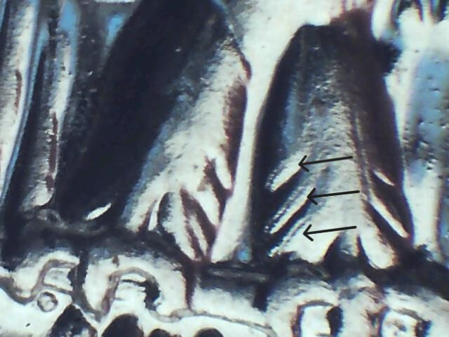 Picture 7 of 12