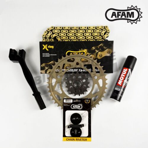 AFAM X-ring Gold Chain & Sprocket Kit (Alloy Rear) fits TM 450 MX 2010-2014 - Photo 1/2