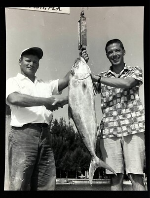 1970s Madeira Beach Florida Deep Sea Fishermen Weigh Amberjack Fish FL VTG Photo