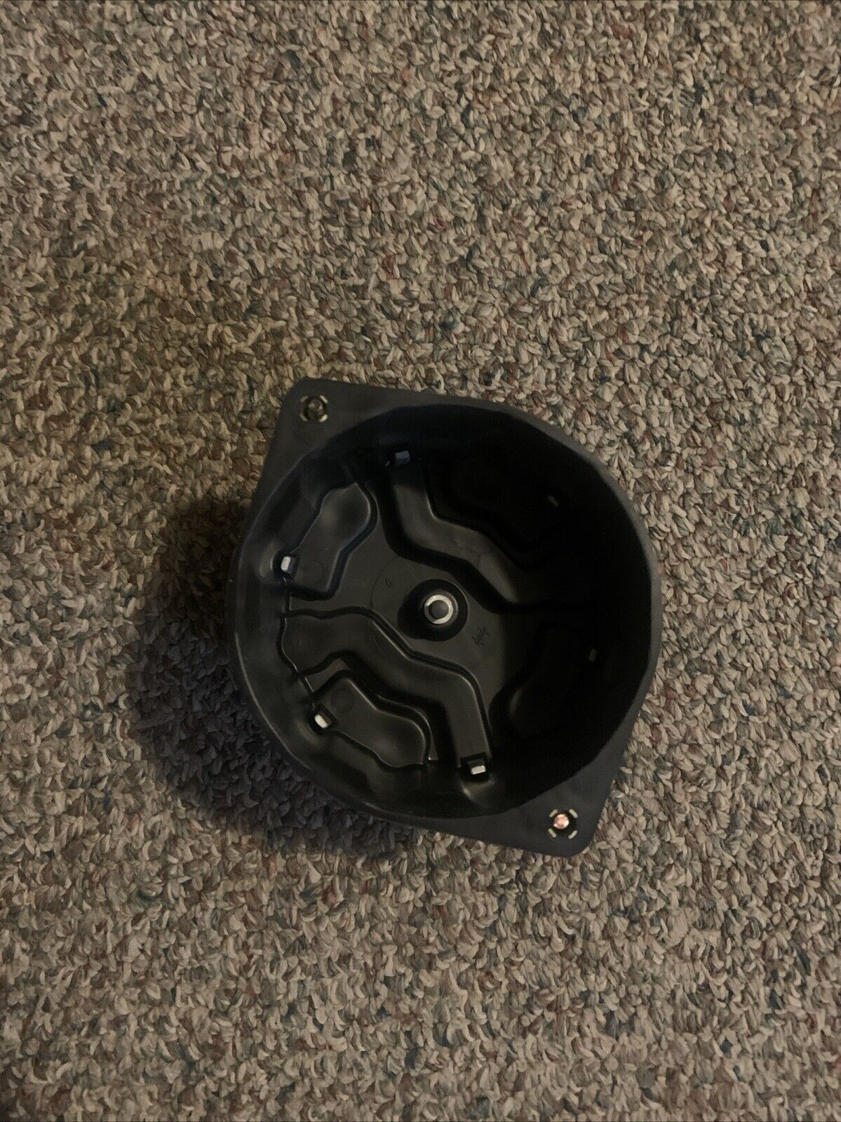 Picture 4 of 4