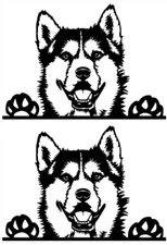 Siberian Husky Pack Black Vinyl Decal Car Truck Windows Laptop Notebook Tablet