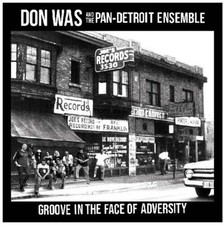 Don Was - Groove In The Face Of Adversity NEW Vinyl
