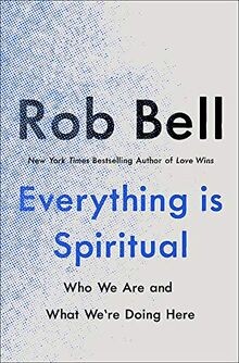 Everything is Spiritual: A Brief Guide to Who We Ar... | Buch | Zustand sehr gut