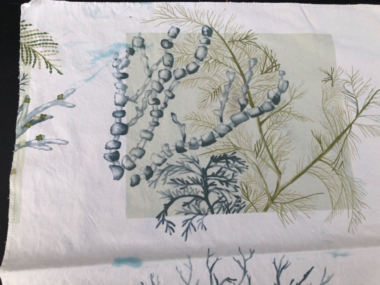 Picture 3 of 4