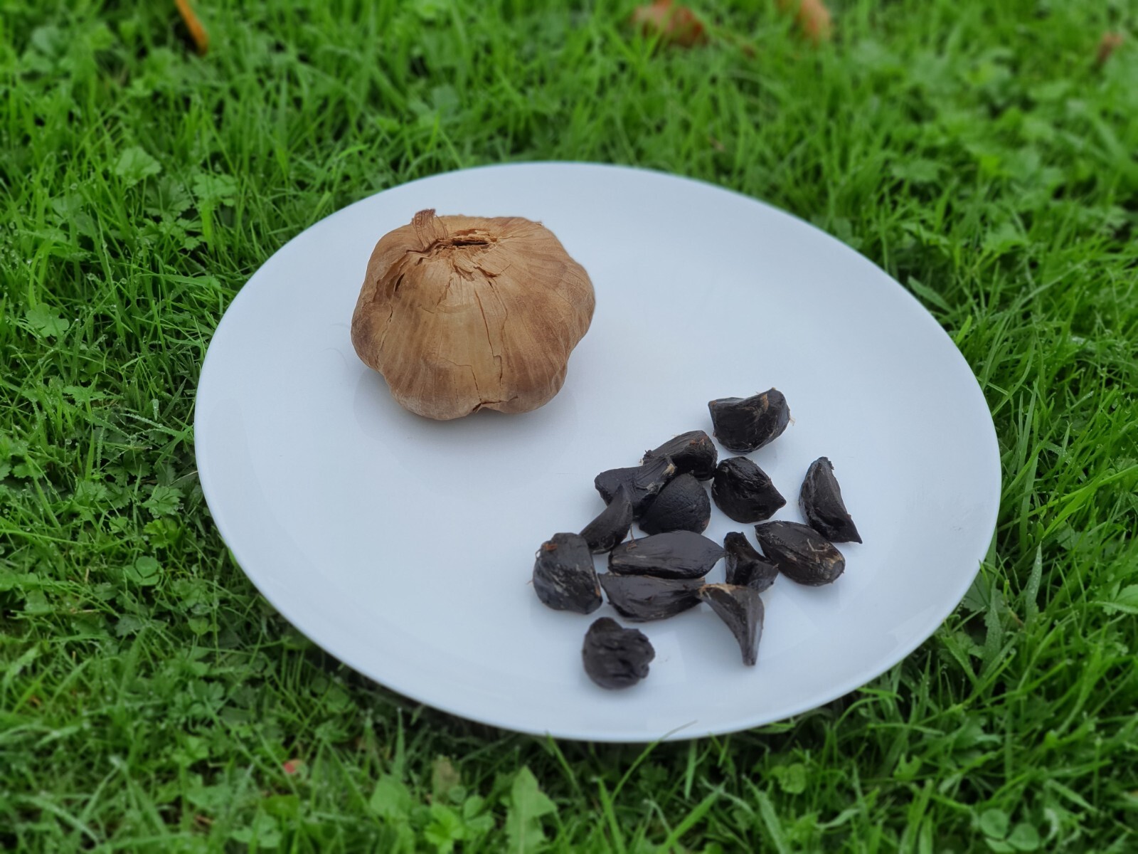 Ail noir cure 40 jours de 80 gélules pour le bien-être général