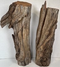 Driftwood 2 Piece Taxidermy Beach Lake Mountain House Wedding Reception Aquarium