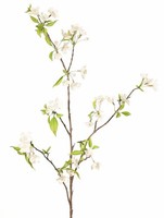 Artplants Kunst BirnenblüTenzweig Clive, BlüTen, Creme-Rosa, 115Cm