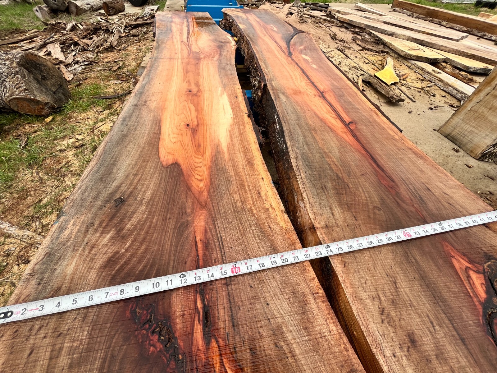Pecan Live Edge Slabs / Kiln Dried, Flattened, Planed / Various Sizes