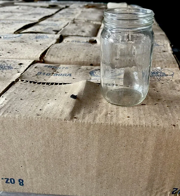 10 estojos de frascos de pedreiro de 8 oz (12 frascos em um estojo) 10 estojos = 120 frascos - Imagem 3 de 4