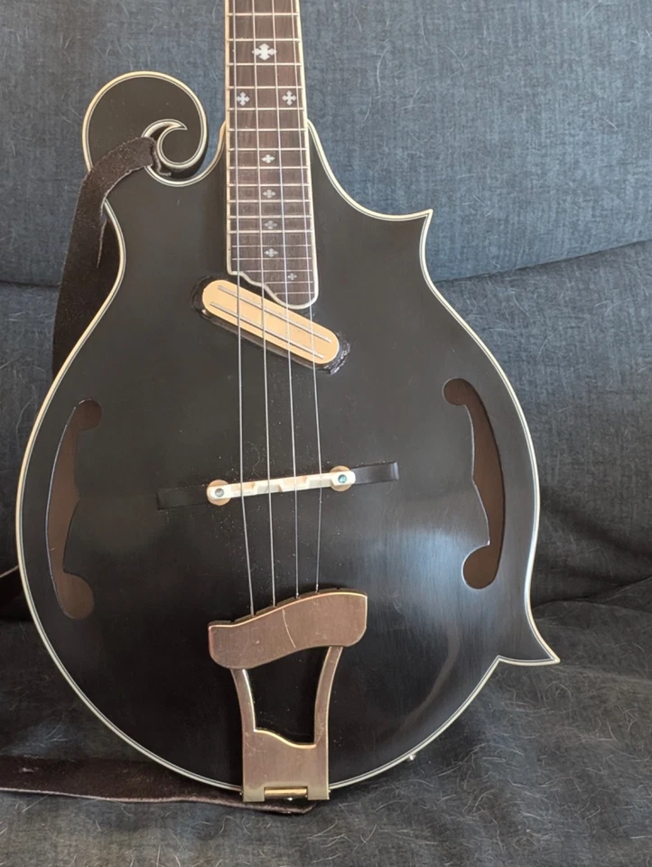 4 STRING ACOUSTIC/ELECTRIC JAZZ MANDOLIN / LUTHIER DESIGNED /FREE SHIPPING NOW - Image 2 of 4