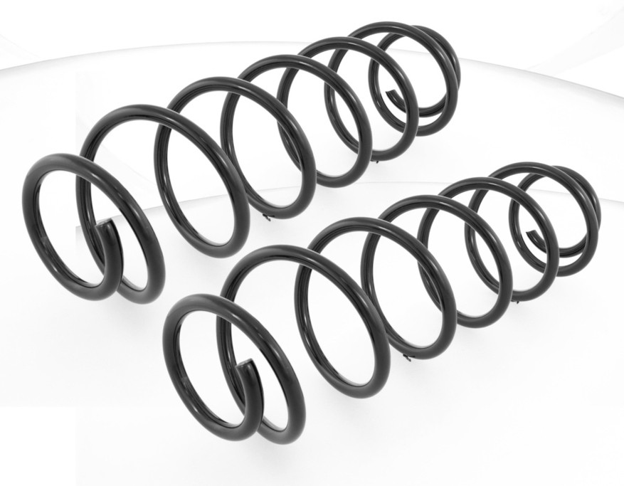 2x Coil Springs Rear Right and Left for Renault Laguna II BG0_, BG1_ 2001-