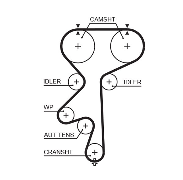 GATES-OE 5542XS Timing Belt for CHEVROLET,LOTUS,OPEL,VAUXHALL