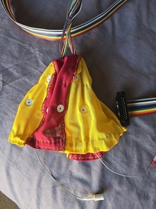 EEG cap by Electro-Cap International (Small/Medium) CS2005 . QEEG Neurofeedback