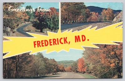 Vintage Photochrome Greetings from Frederick MD Scenic Road Postcard