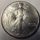 1995 American Silver Eagle Tube 1 oz .999-AUCTION FOR 1 COIN Gem Uncirculated -