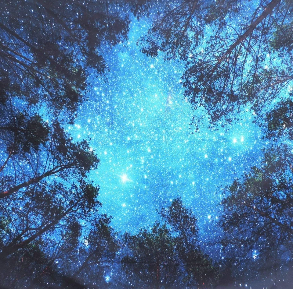 Waldsternen Wandteppich, Galaxie-Baum XXL Poster Wandbehang Wandtapete 230x180 - Bild 4 von 4