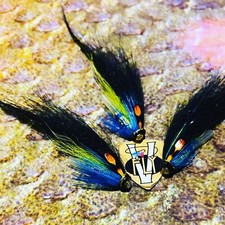 3 V Fly Birgham Blue Monkey 1/2 inch Loop Bottle Salmon Tube Flies & Hooks