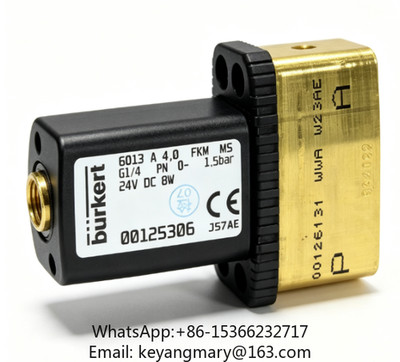 Instantaneous Burkert solenoid valve 6013A G1/4 24V 00125306
