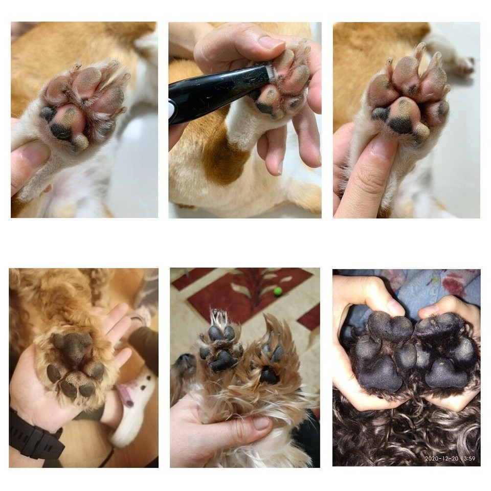 Portable Electric Pet Foot Hair Trimmer Mini USB Dog Cat Paw Pad