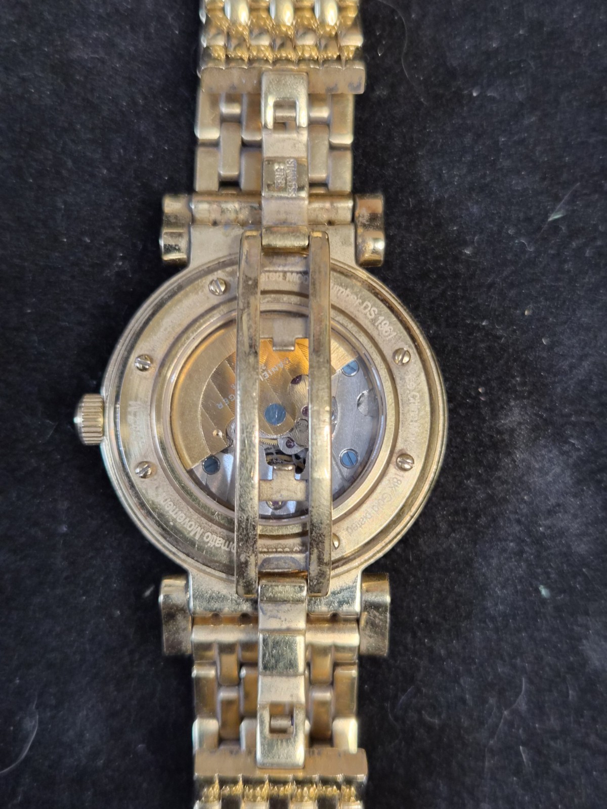 Daniel Steiger Evolution Mechanical Automatic Wri… - image 4