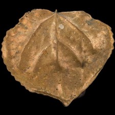 Brass Leaf Tree Arborist Naturalist Boho Hippie Art 70s NOS Vintage Belt Buckle