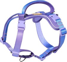 DF Freedom No Pull Martingale Dog Harness, Gentle Control for No Choking, Front
