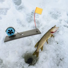 2 Pcs Ice Bait Casting Fishing Rod Kit Accessories and Equipment Pole