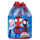 Spidey and His Amazing Friends Swimming Bag | Spiderman Swim Bag For Kids