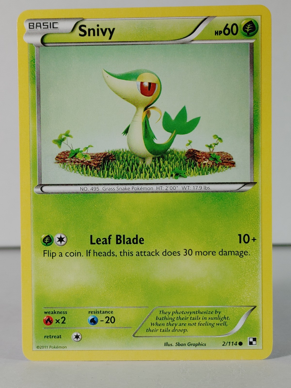 Snivy - Black & White base set #2 - Pokemon  - NM -G