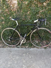 Masi Gran Criterium 51cm Lugged Steel Road Bike 700c BLACK Shimano 105 Ritchey