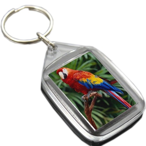 50x35MM 35x24MM INSERT CLEAR BLANK ACRYLIC PLASTIC PHOTO KEYRINGS