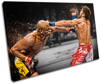 MMA Anderson Silva Cote  Sports SINGLE Leinwand Wand Kunst Bild drucken