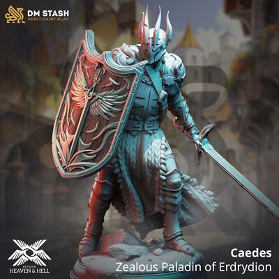 DM Stash Miniatures Divine Paladin of Conquest Warrior Fighter D&D DnD Fantasy