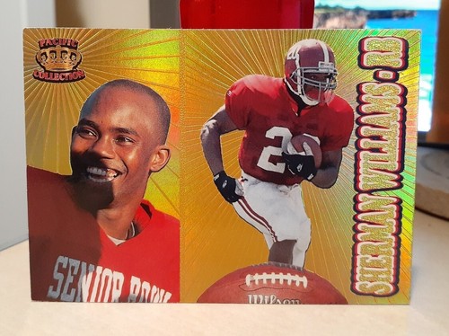 1995 Sherman Williams #210