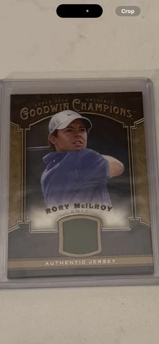 2014 Goodwin Champions Rory McIlroy Jersey #M-MC